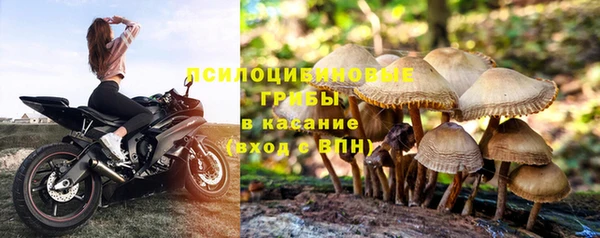 таблы Верхний Тагил